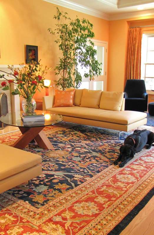 Persian rug - unique chobi